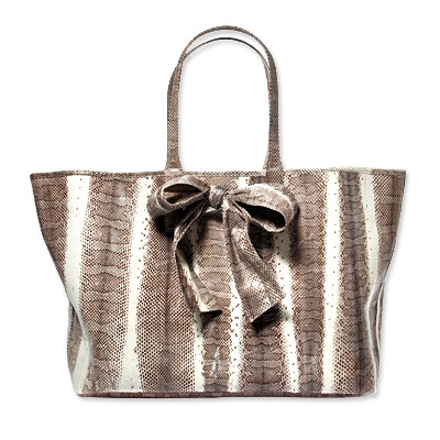 خريف وشتاء 2010-2011