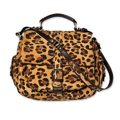 خريف وشتاء 2010-2011